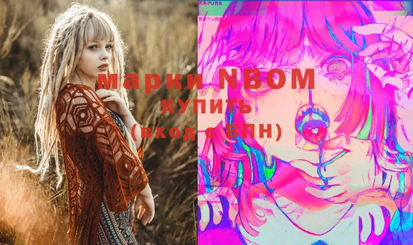 spice Богородск