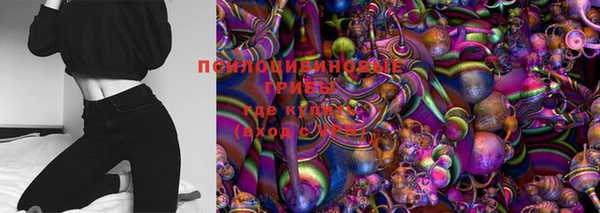 ГАЛЛЮЦИНОГЕННЫЕ ГРИБЫ Бронницы