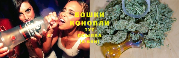 ГАЛЛЮЦИНОГЕННЫЕ ГРИБЫ Бронницы